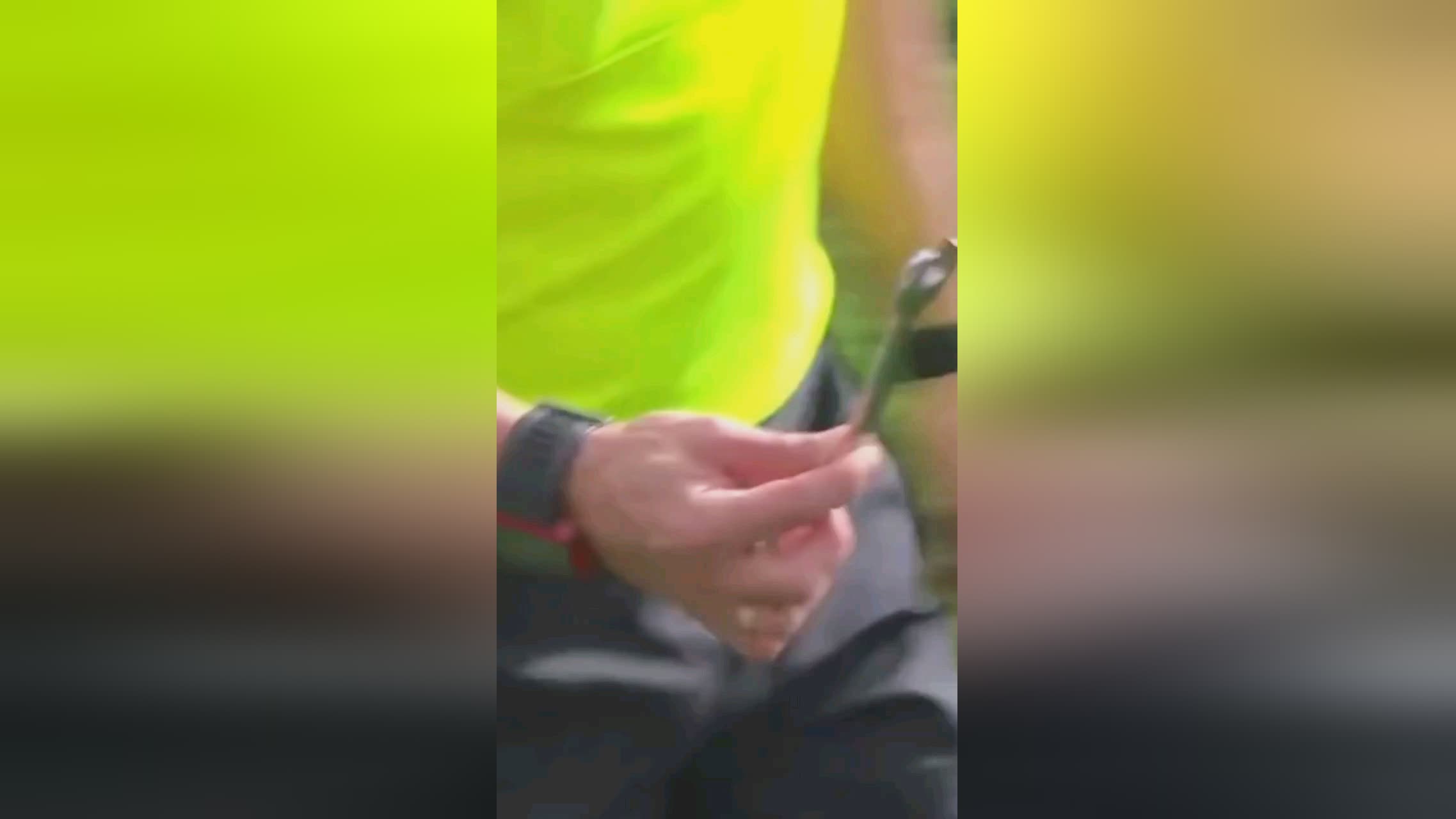 业逻辑