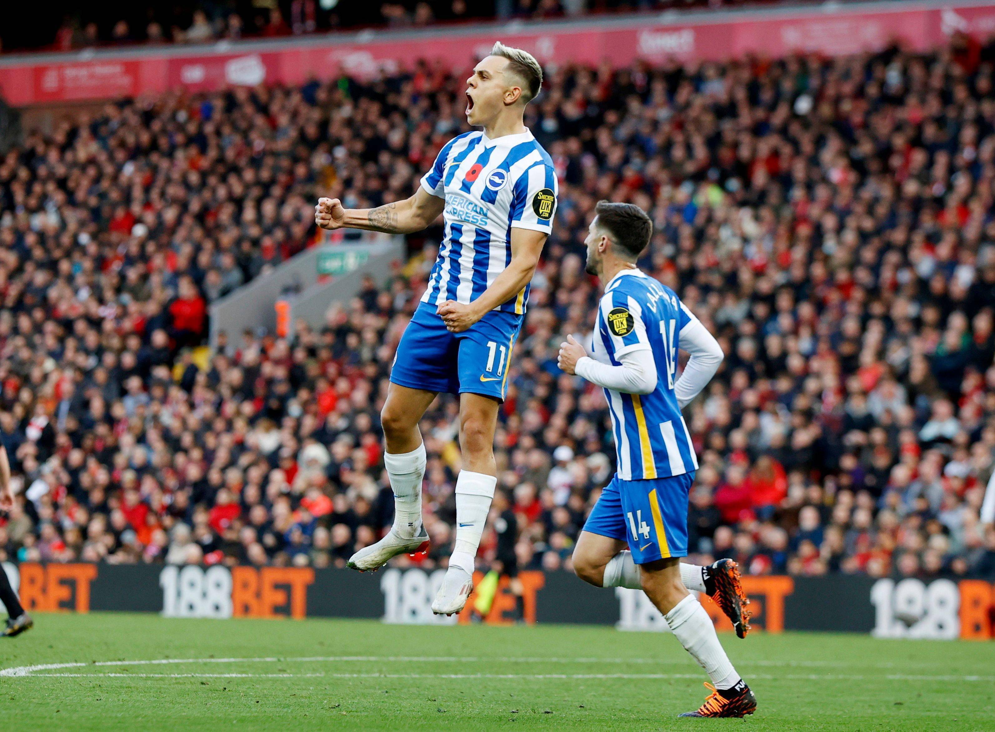 国内球队赢 国内球队赢